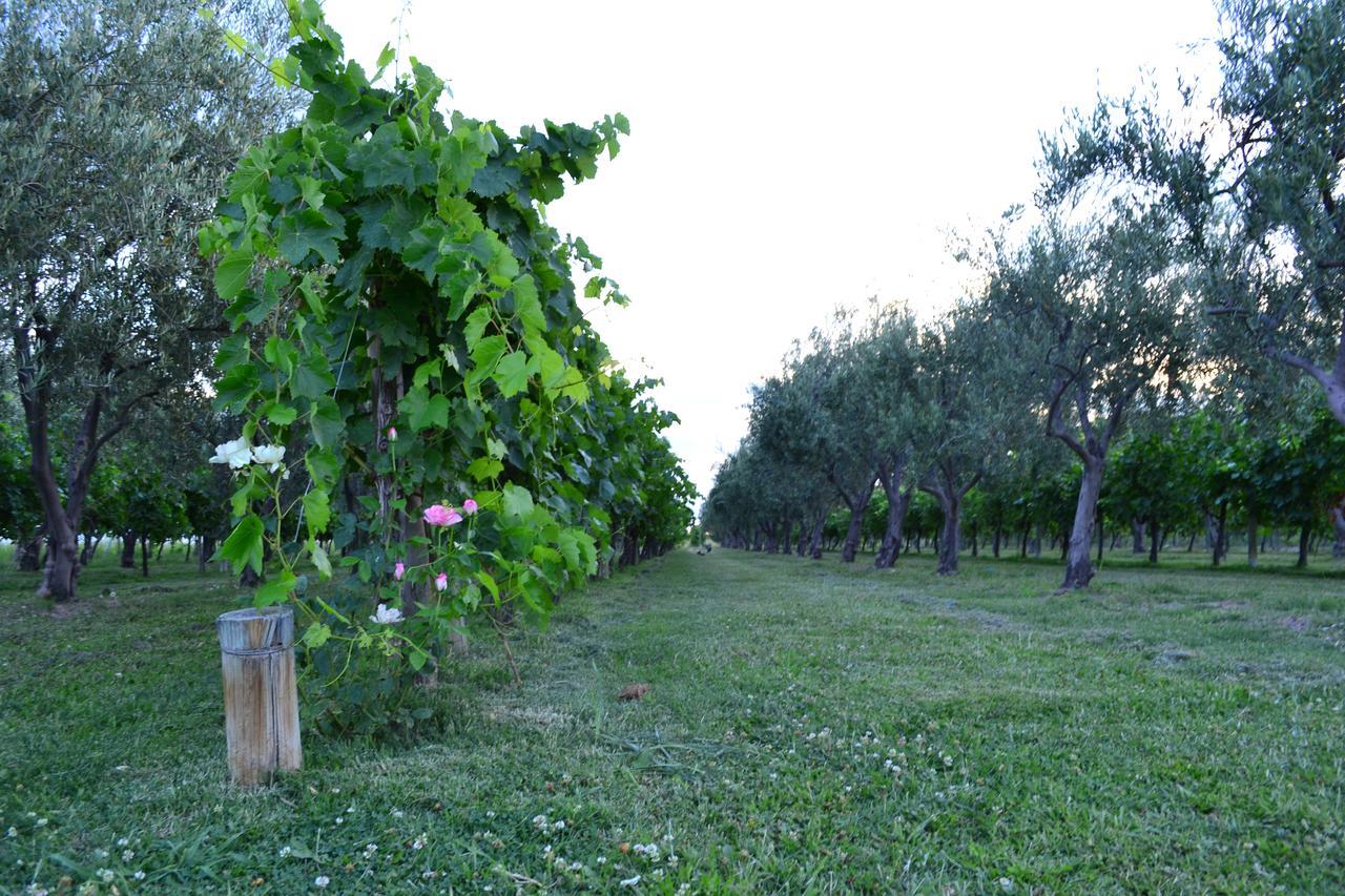 Finca Fisterra Maipú Kültér fotó