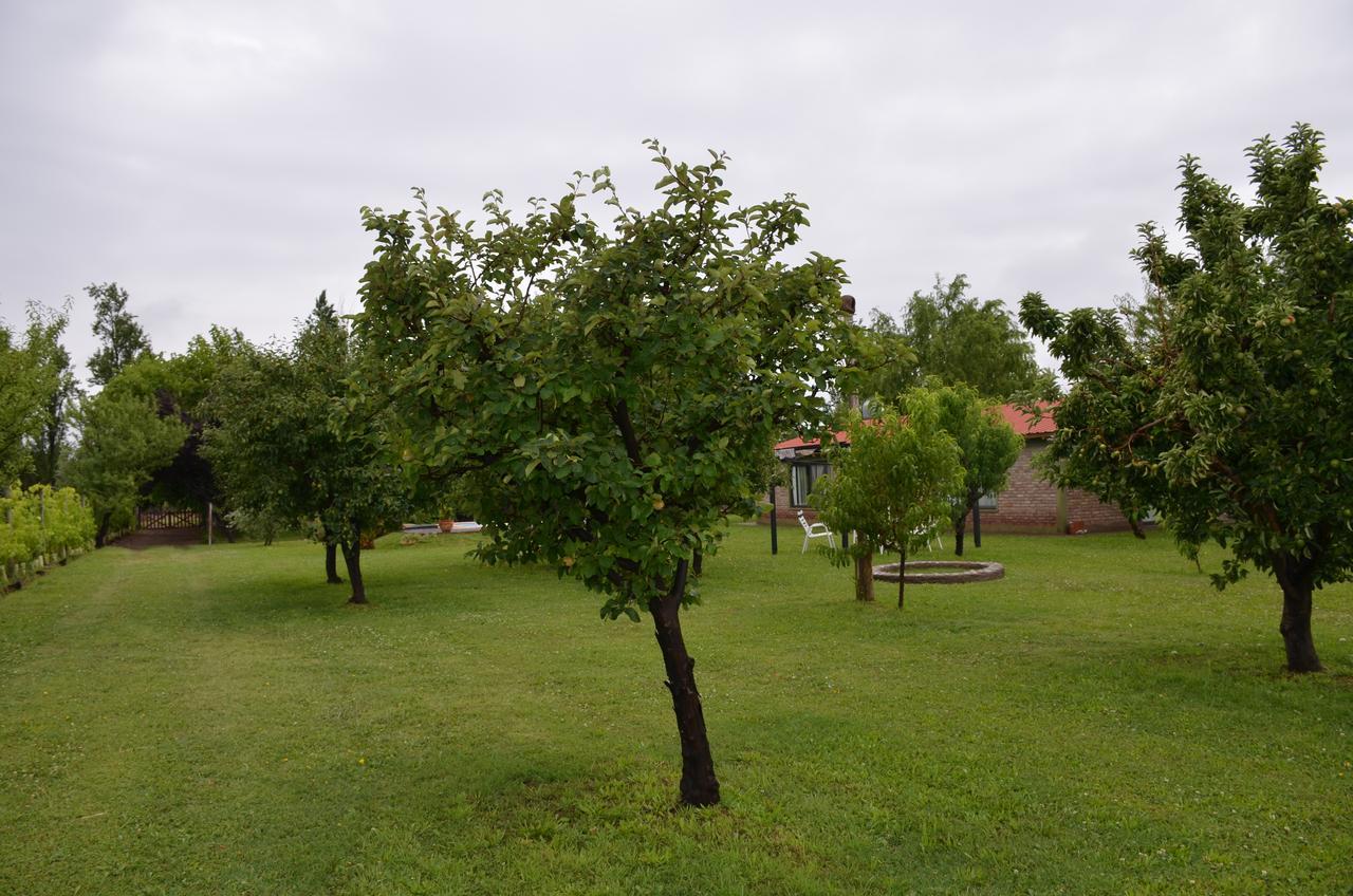 Finca Fisterra Maipú Kültér fotó