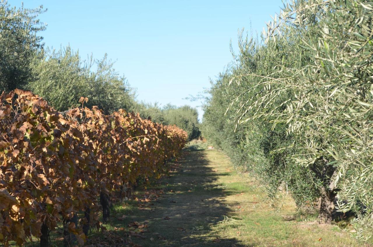 Finca Fisterra Maipú Kültér fotó