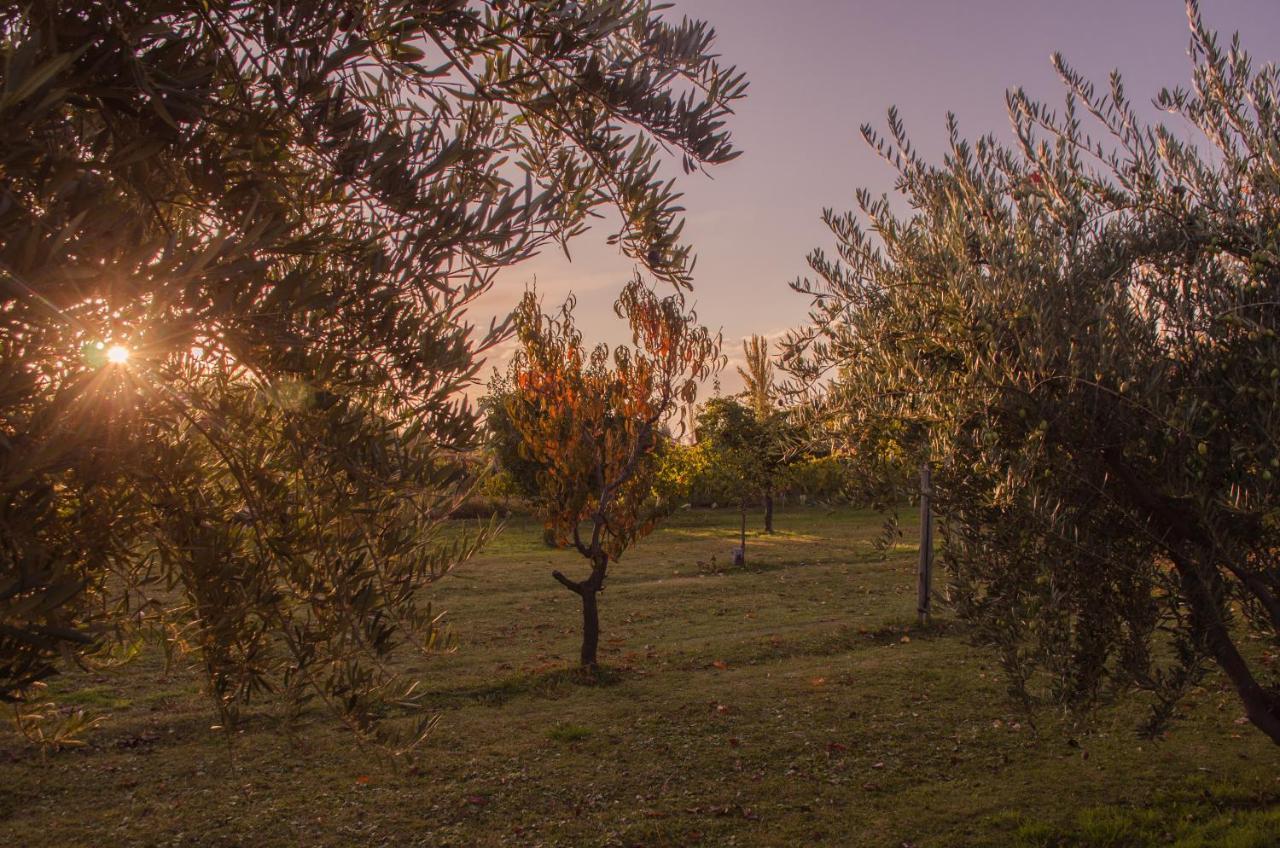 Finca Fisterra Maipú Kültér fotó