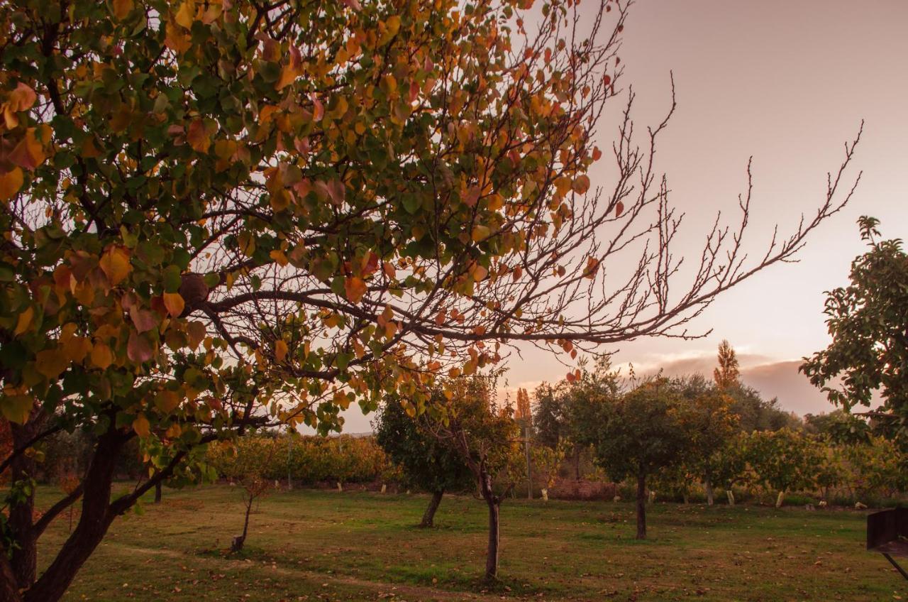 Finca Fisterra Maipú Kültér fotó
